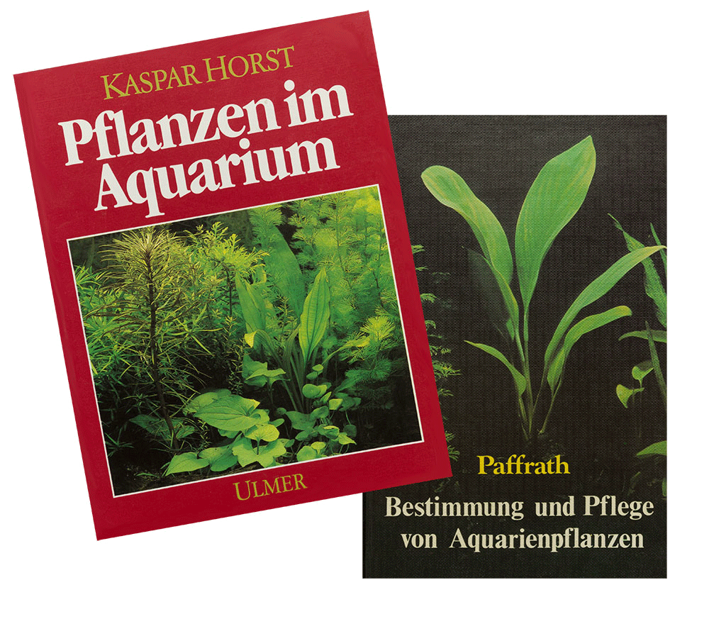 Bücher von Kaspar Horst und Kurt Paffrath