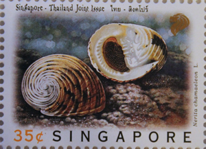 Briefmarke mit Gehäuse von Nerita chameleon