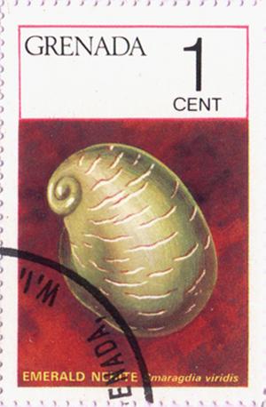 Briefmarke mit Smaragdia viridis
