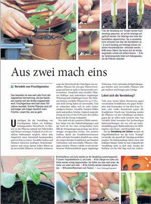 Artikel Veredelung von Fruchtgemüse im Wochenblatt und im Schwäbischer Bauer