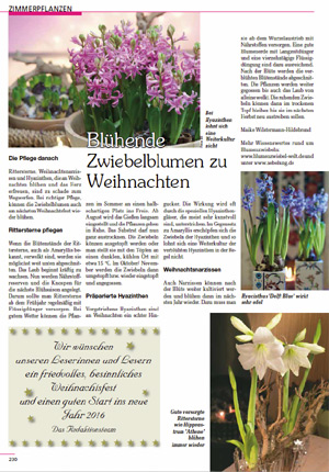 Artikel über Blumenzwiebeln im Haus in Unser Garten